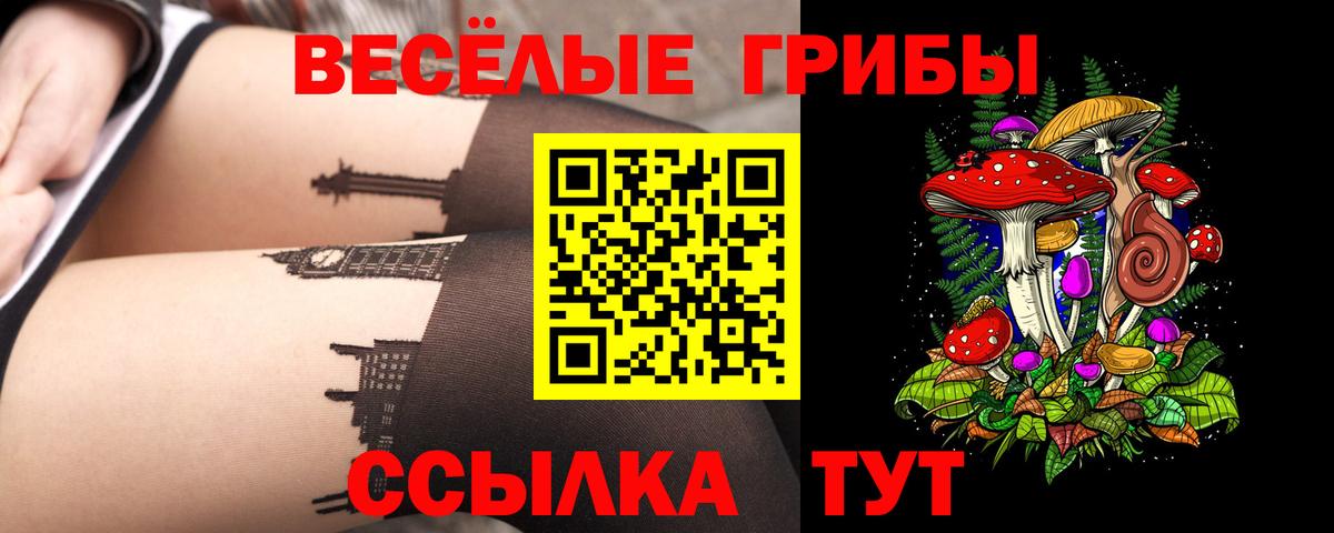 Галлюциногенные грибы GOLDEN TEACHER Камышин