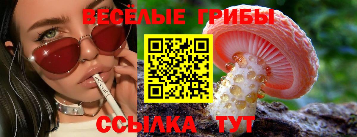 Бошки Шишки Камышин