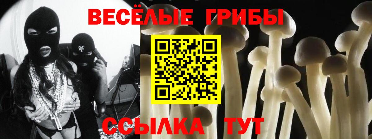 Камышин  Псилоцибиновые грибы MAGIC MUSHROOMS  купить наркотики сайты  Вход с VPN 